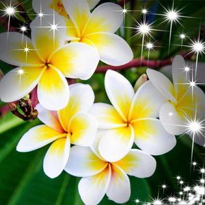 Meet your Posher, Heidi